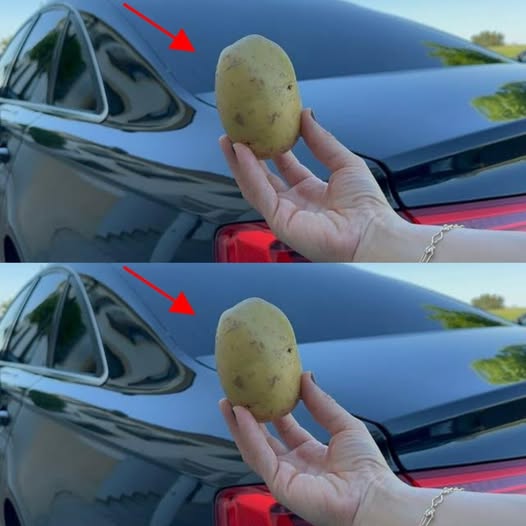 How a Simple Potato Can Enhance Your Driving Experience