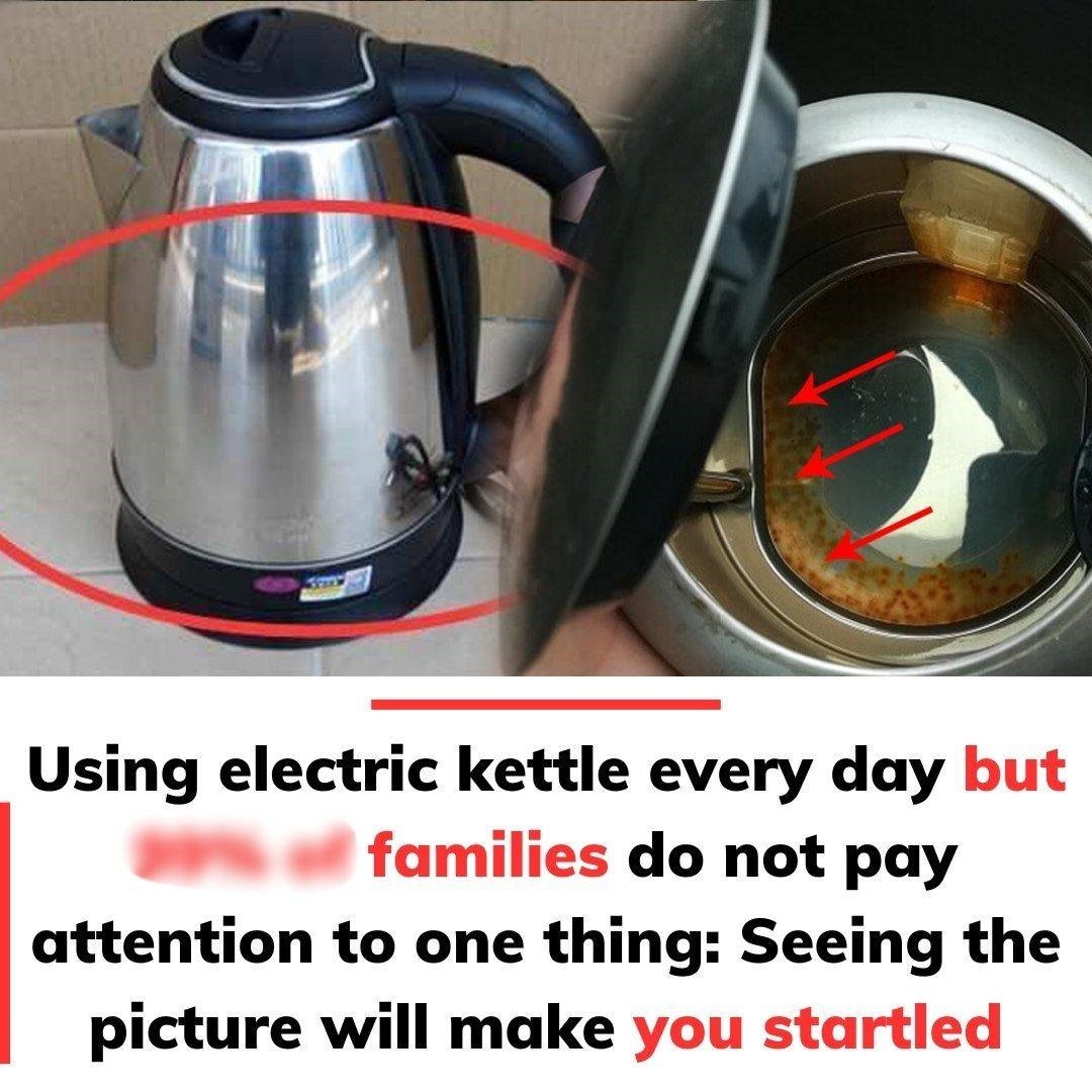 Using an Electric Kettle Every Day? Many Families Overlook This Important Thing — The Inside Might Shock You!