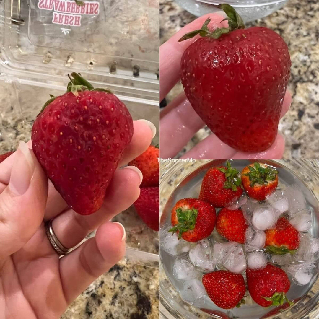 How to Keep Strawberries Fresh Longer: 7 Expert Tips to Prevent Mold and Spoilage