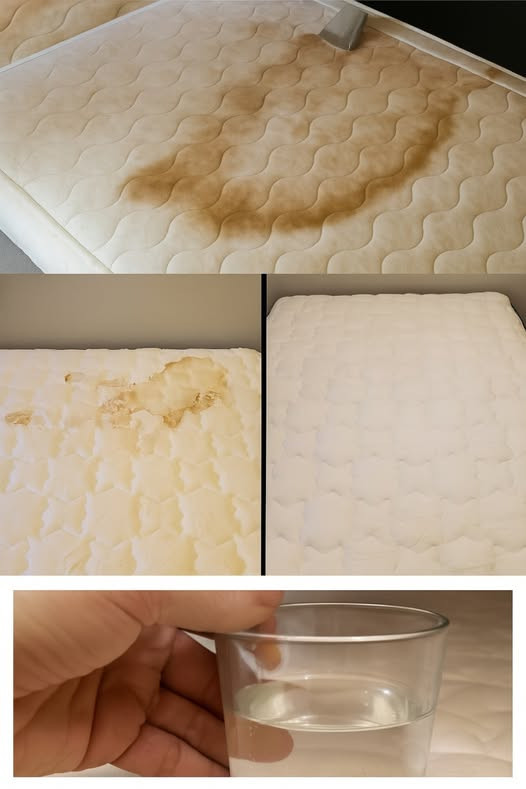 How to clean dirty toilets and get rid of the smell of urine on the couch,