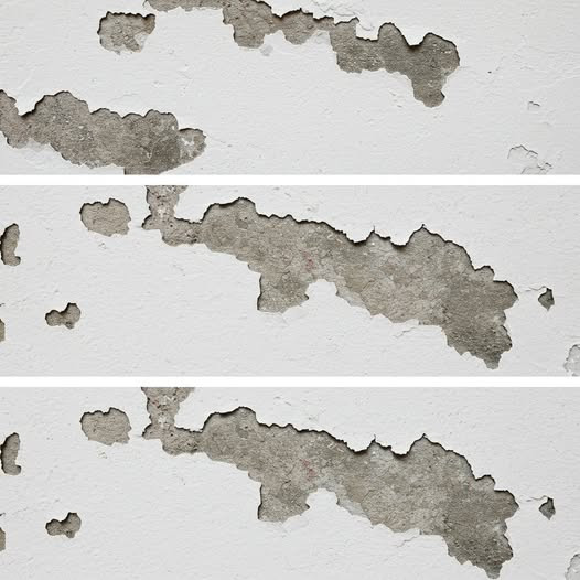 Dampness in the House: The Most Effective Way to Solve This Unpleasant Problem