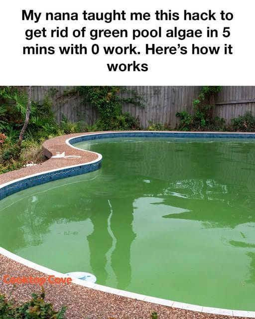 My nana taught me this hack to get rid of green pool algae in 5 mins with 0 work. Here’s how it works
