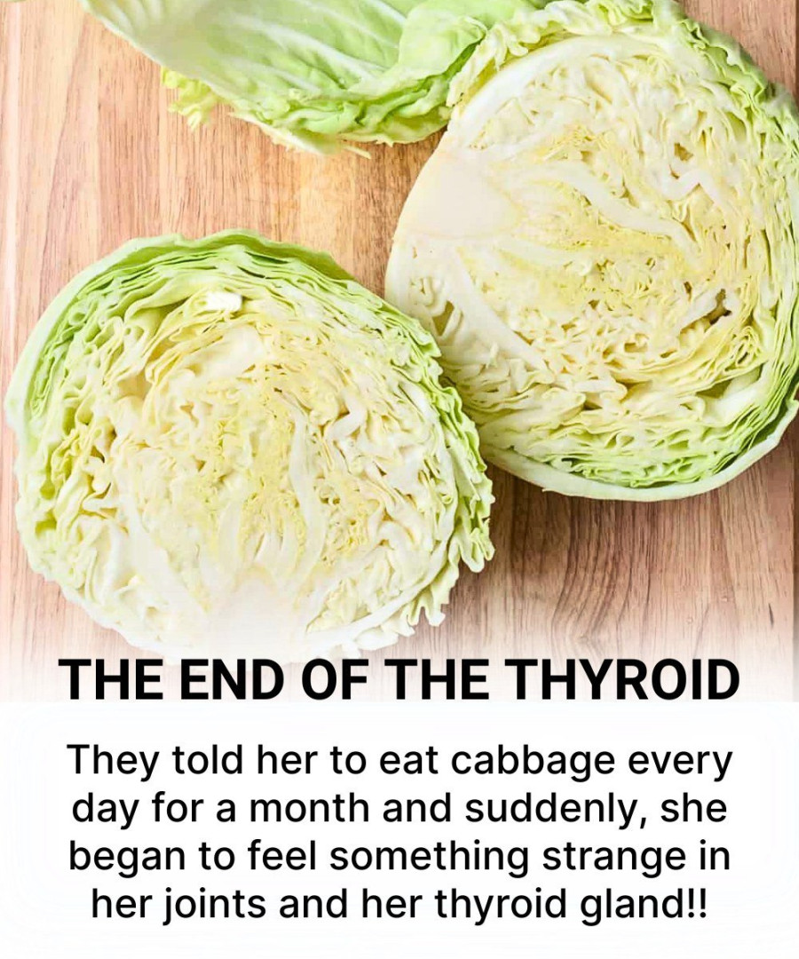 Is Cabbage Harmful to the Thyroid? Discover the Truth
