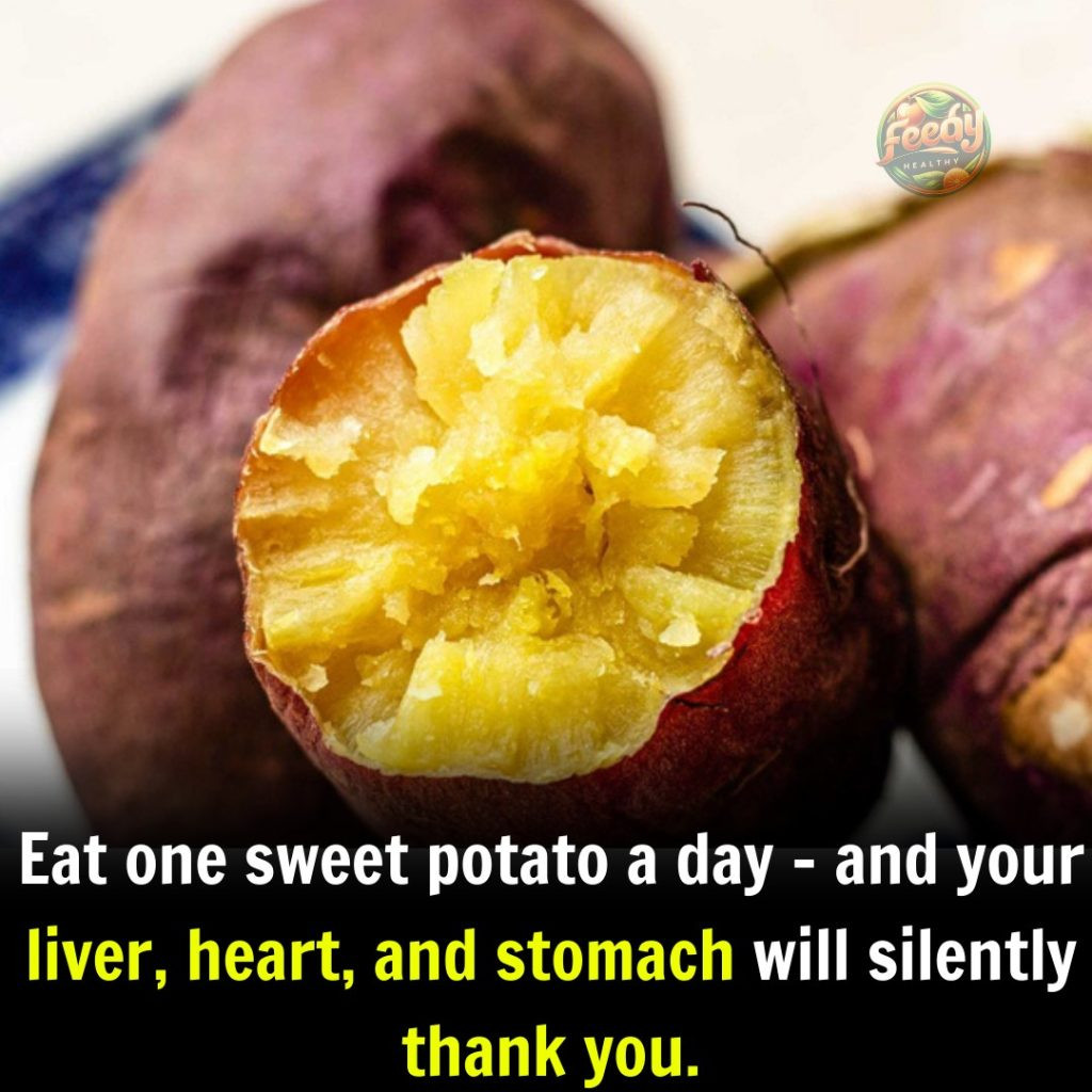 Eat one sweet potato a day – and your liver, heart, and stomach will silently thank you.