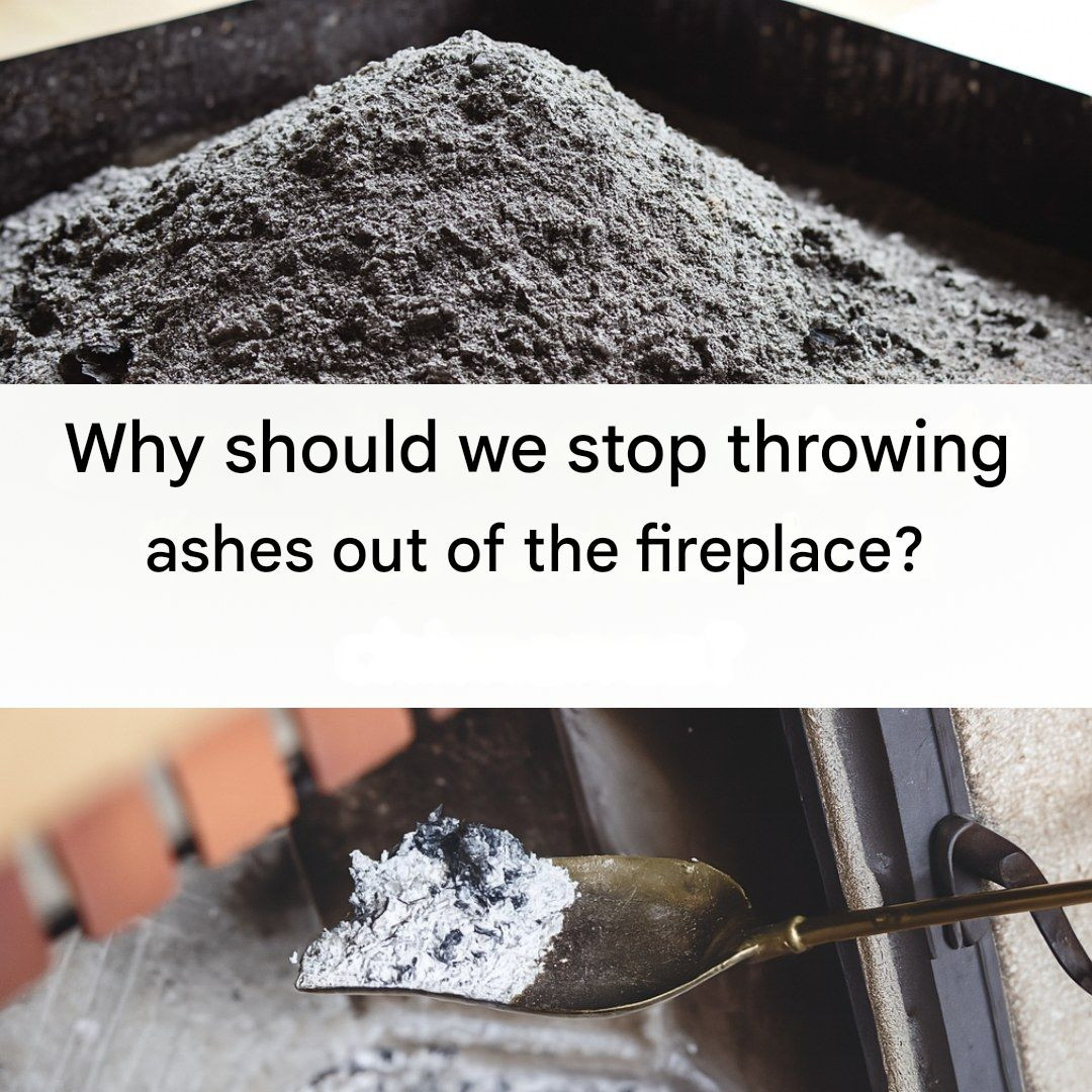 Why Should You Stop Throwing Ashes Out of the Fireplace?