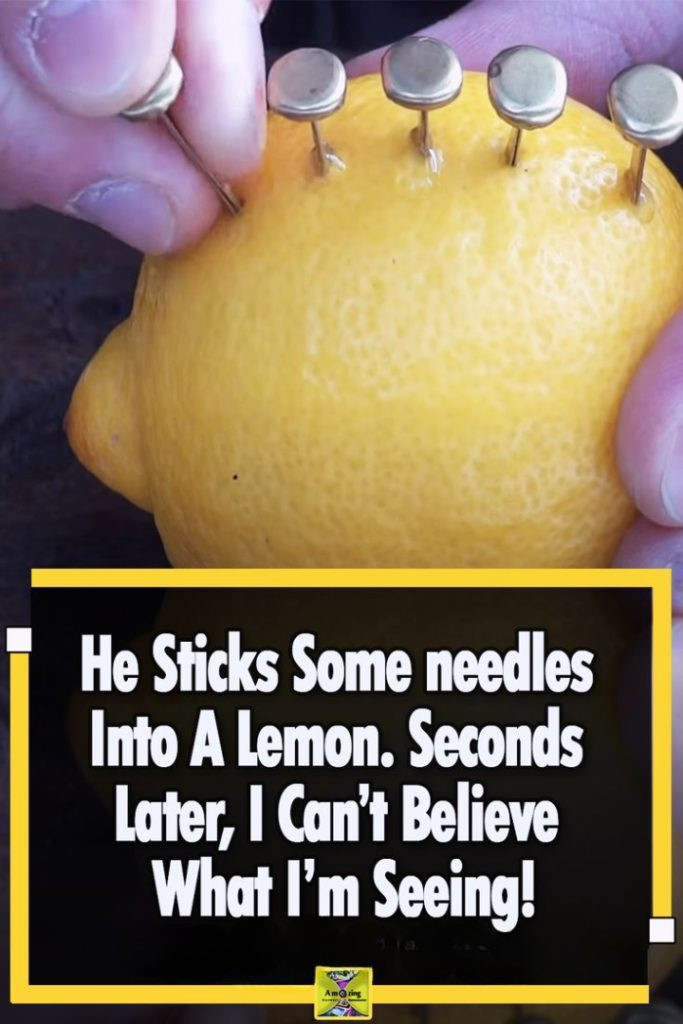 He Sticks Some needles Into A Lemon. Seconds Later, I Can’t Believe What I’m Seeing!