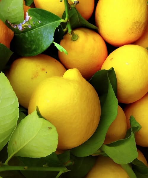 These are the effects of lemon consumption on blood glucose