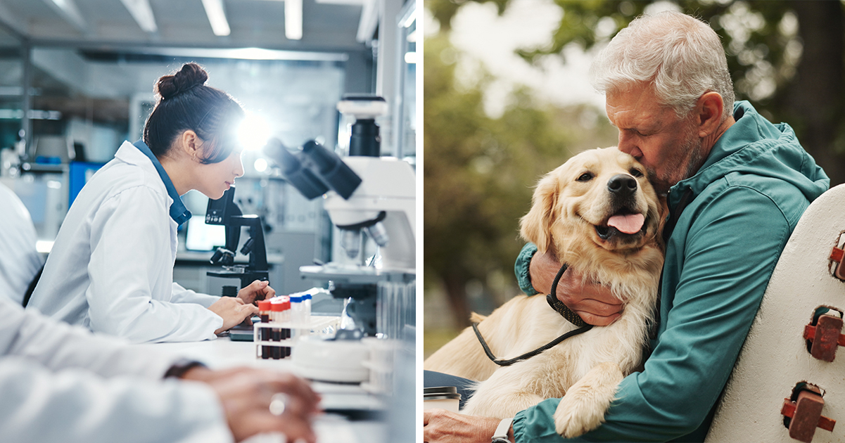 Studies indicate that people with this blood type have higher chance of living to 100