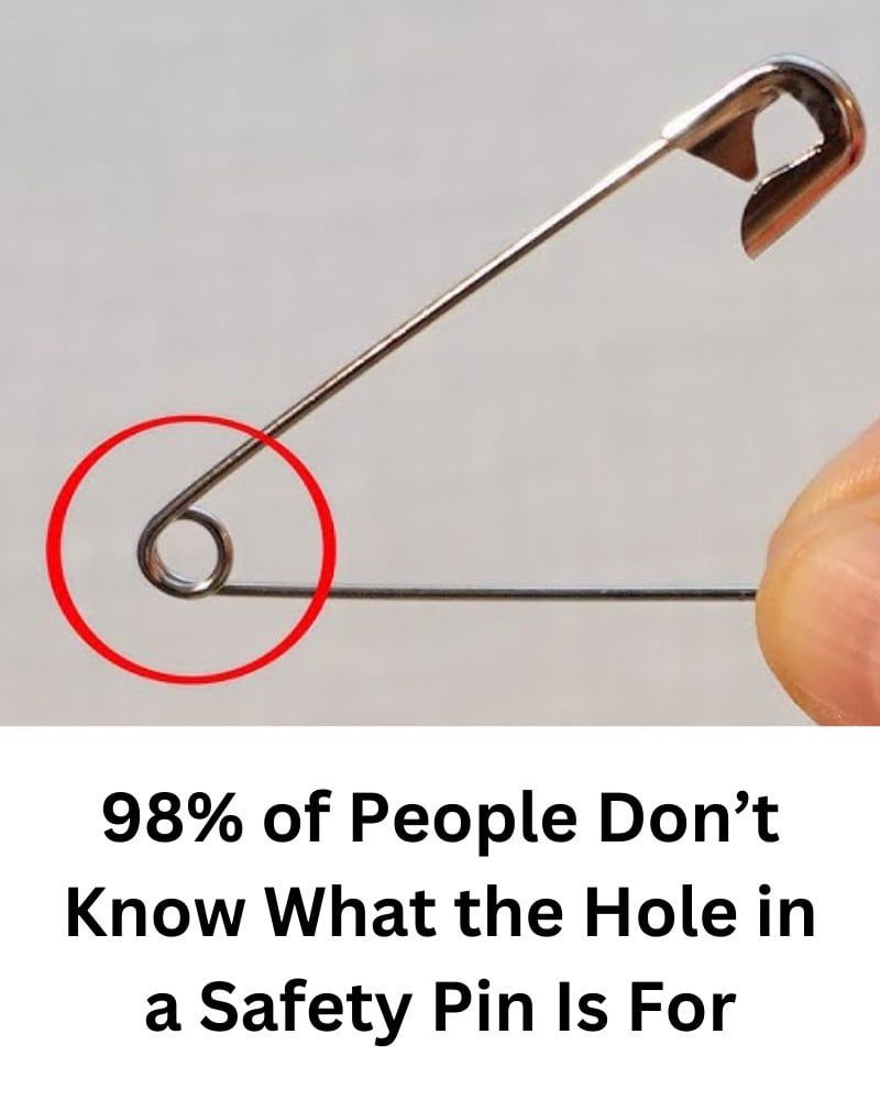 JUST 5 MINUTES | How to Make Mice and Rats “Disappear” Without Poison or Traps — Using (and Removing) Biscuit and Other Humane Methods