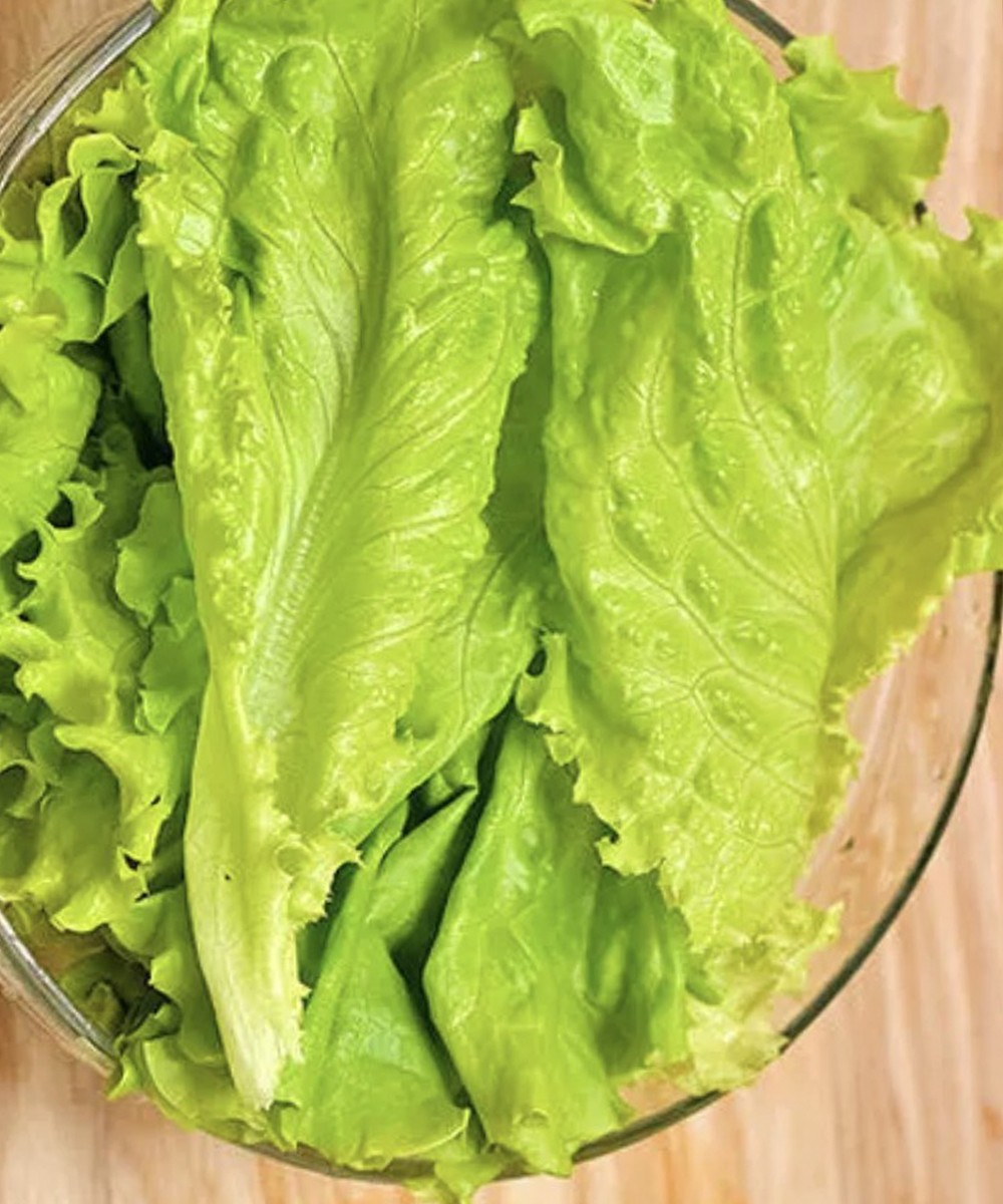 Doctors Reveal That Eating Lettuce in Winter Causes These Surprising Effects
