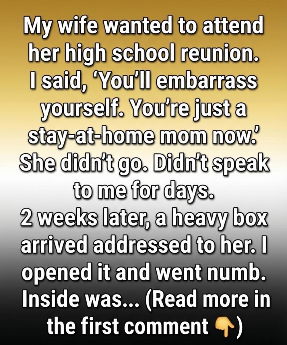 I Underestimated My Wife—Until a Box at Our Door Taught Me a Powerful Lesson.