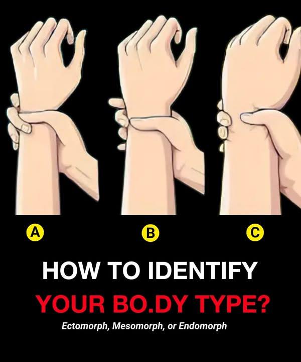 Bo.dy Types: Are You Ectomorph, Mesomorph, or Endomorph