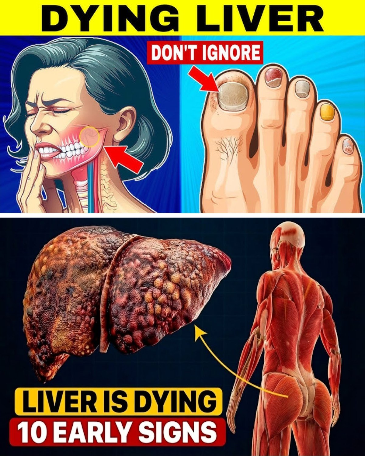 12 Silent Signs of Liver Failure You Must Catch Early (Before It’s Too Late!)