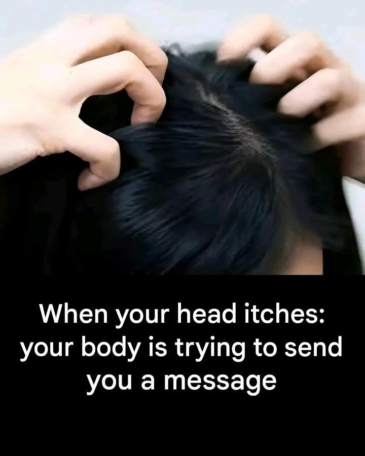 Itchy Scalp: What Are the Possible Causes? Answers From a Dermatologist