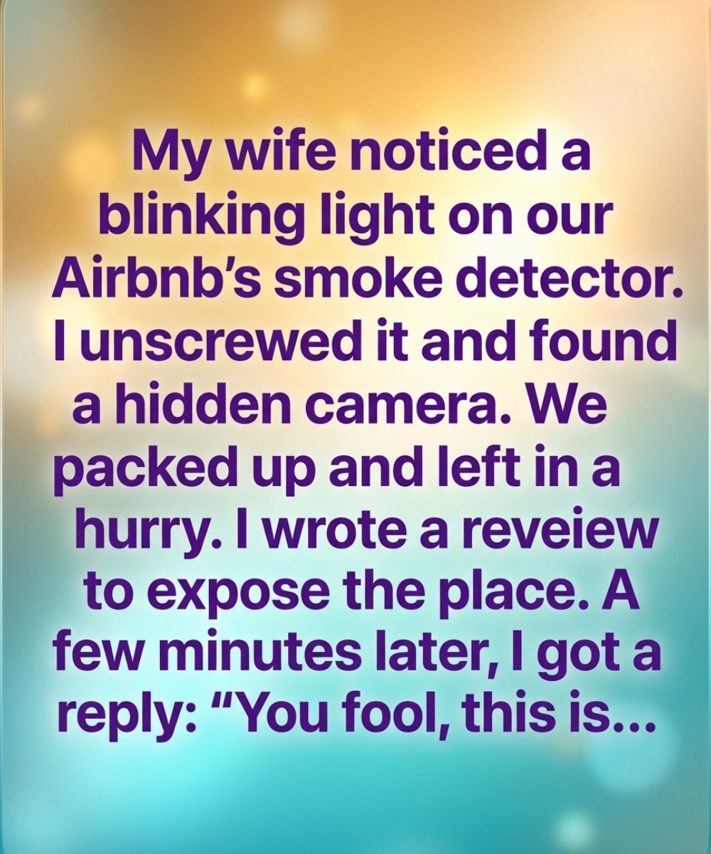 How a Simple Find Transformed Our View of Our Living Space