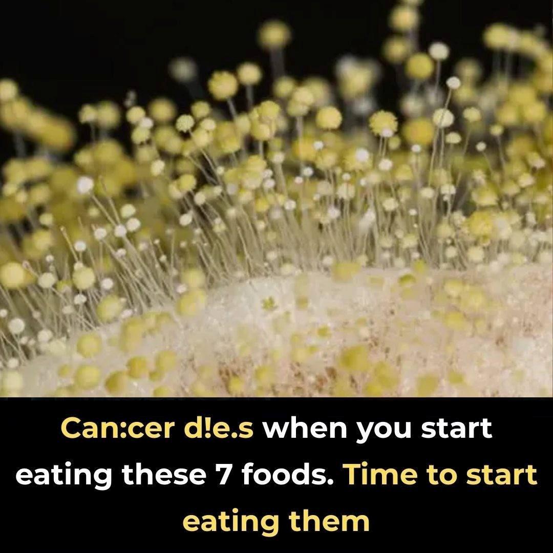 7 powerful anti-cancer foods you should start including in your diet