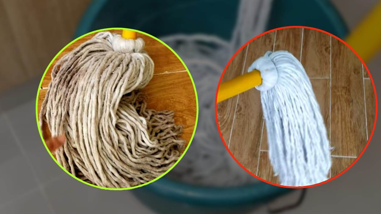 mop cleaning